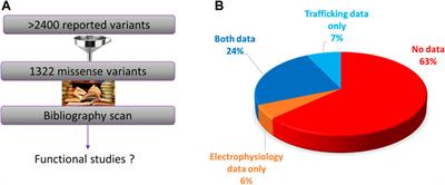 A need for exhaustive and standardized characterization of ion channels activity. The case of KV11.1